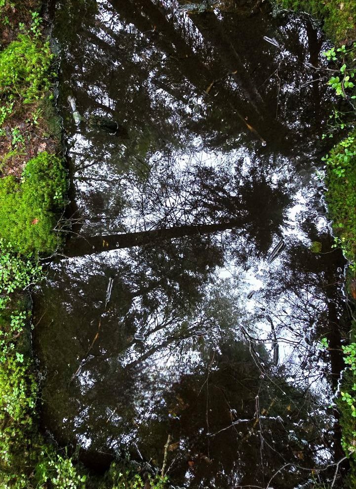 Чистый воздух