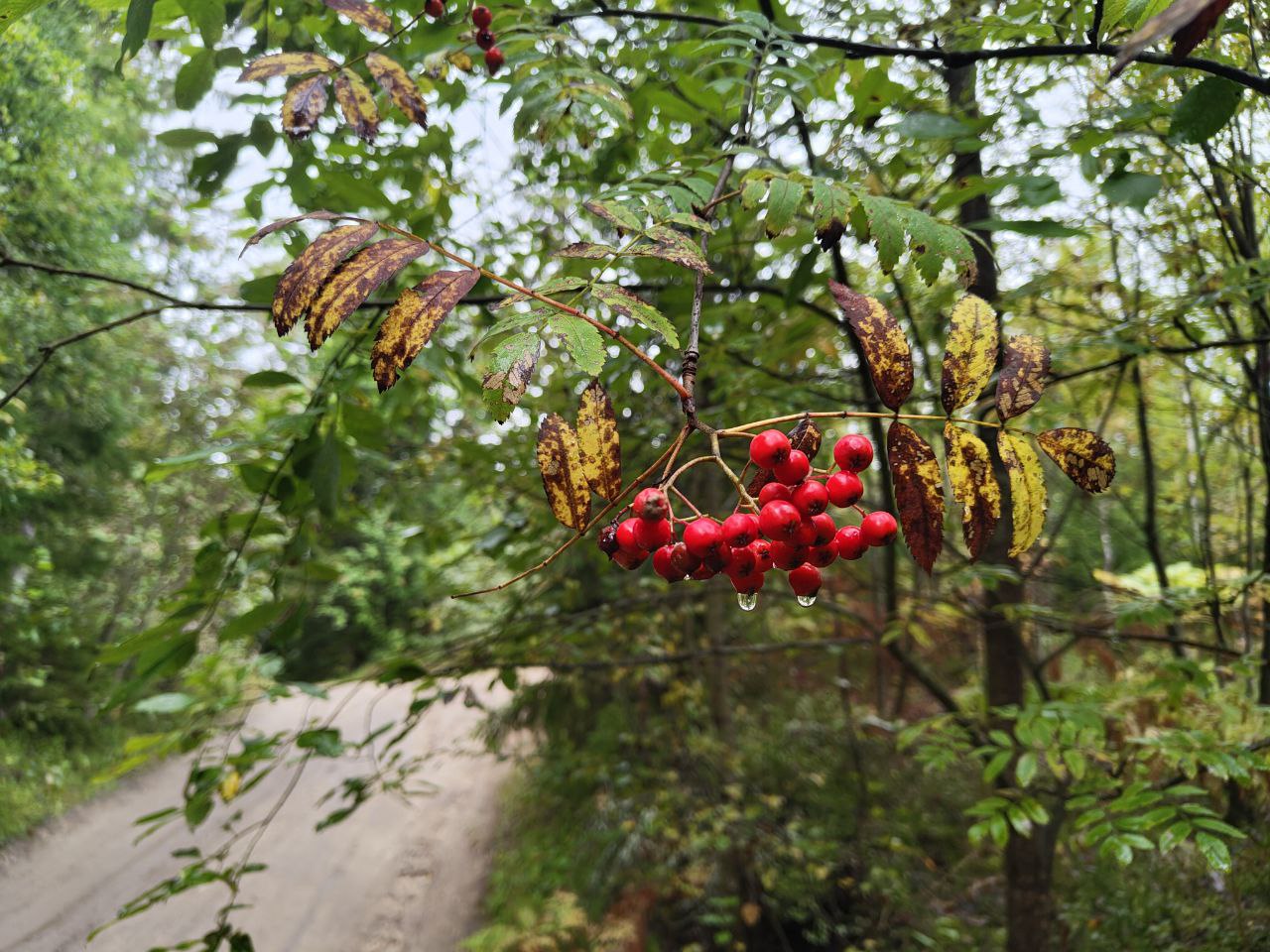 Командный вызов — переправа